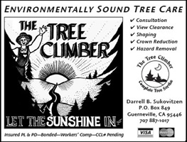 TreeClimber2