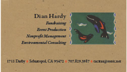 Diancard1