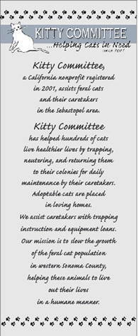 KCflyer1